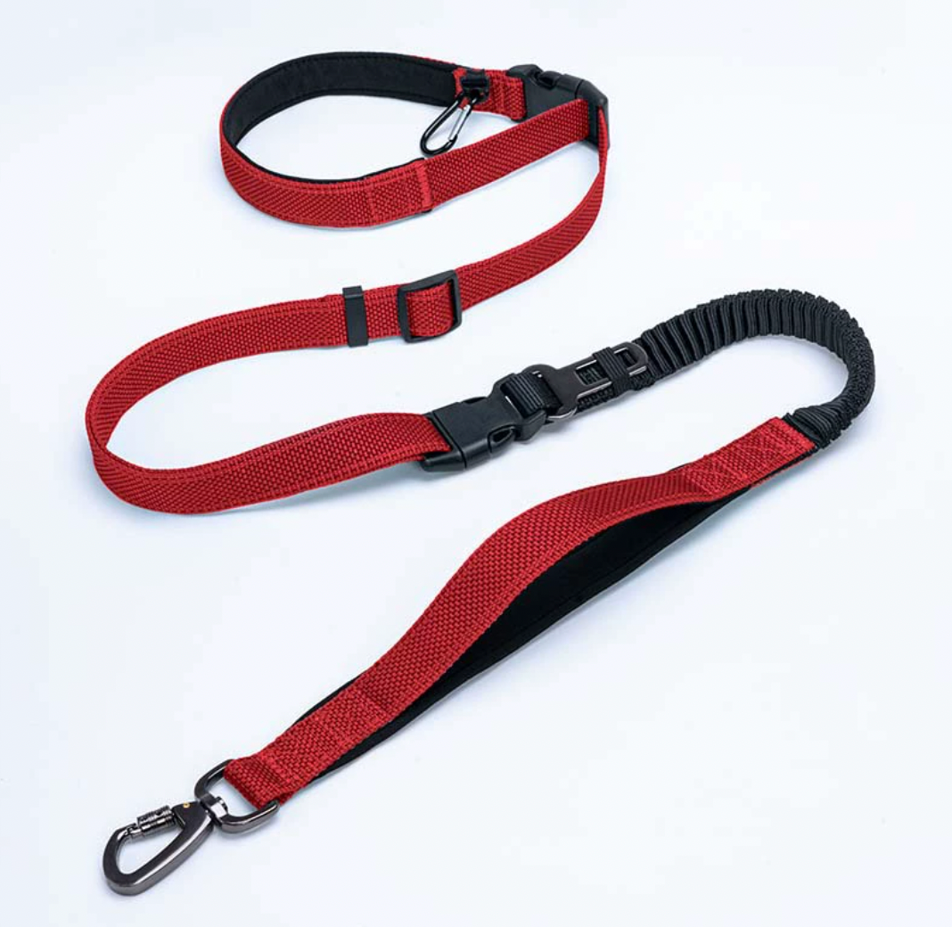 red hands free running dog leash for active dogs